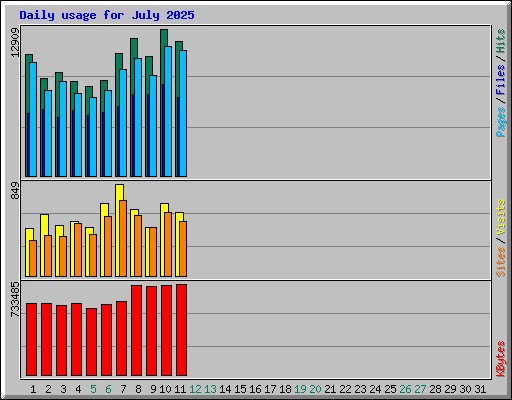 Daily usage for July 2025