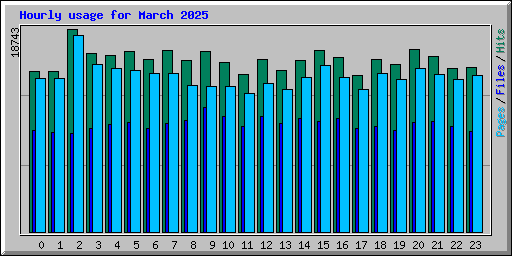 Hourly usage for March 2025