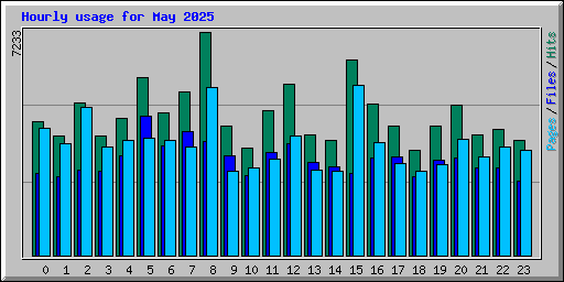 Hourly usage for May 2025