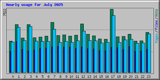 Hourly usage for July 2025