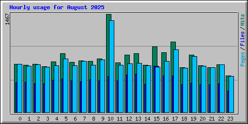 Hourly usage for August 2025