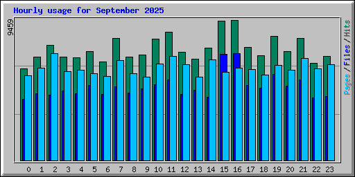 Hourly usage for September 2025