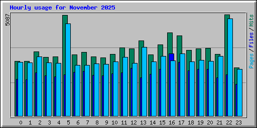 Hourly usage for November 2025